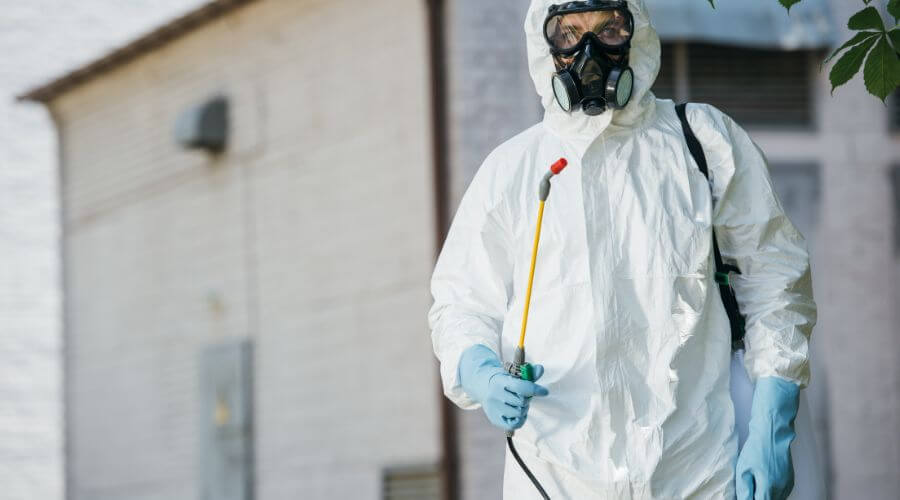Professional pest control services services in Wanneroo